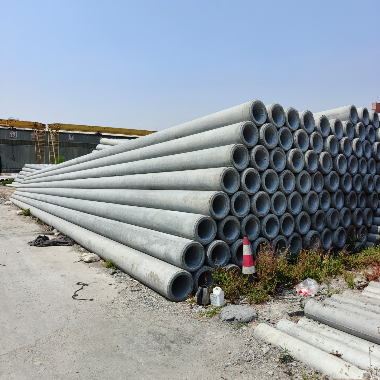 牡丹10米水泥电杆